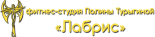 Фитнес-студия Полины Турыгиной «Лабрис» Фитнес-студия Полины Турыгиной «Лабрис»